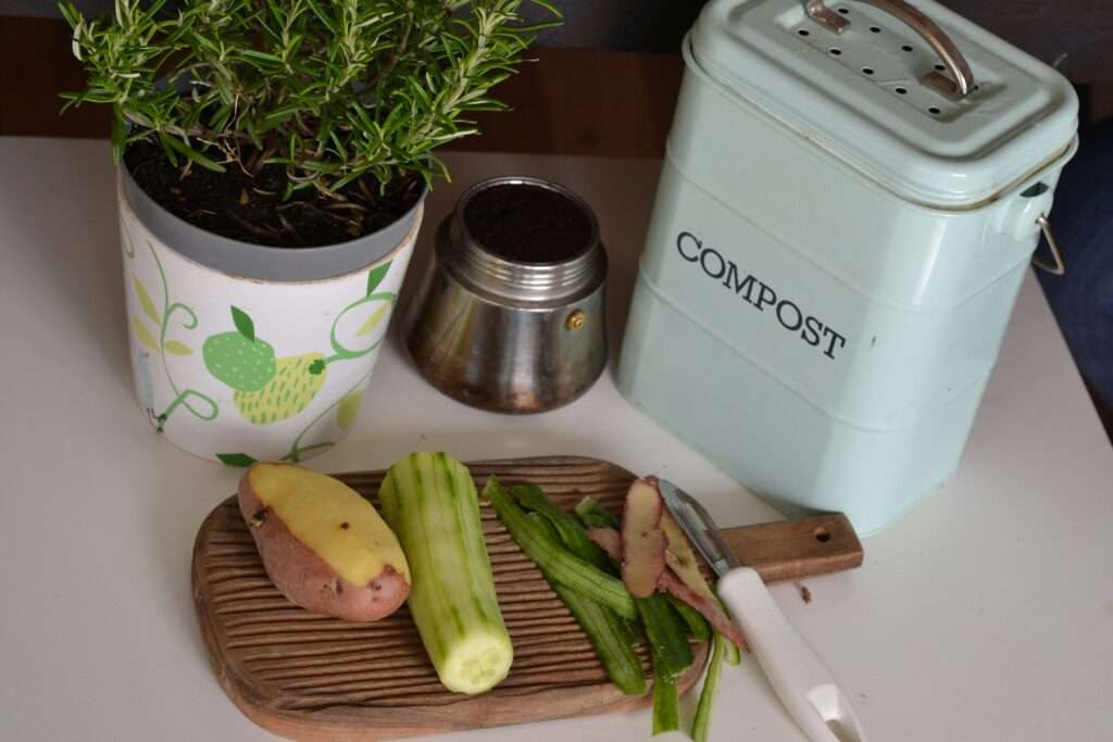 food and coffee grounds on kitchen bench with composting bin