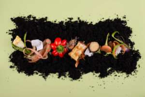 How to Compost at Home in Australia: Step-by-Step