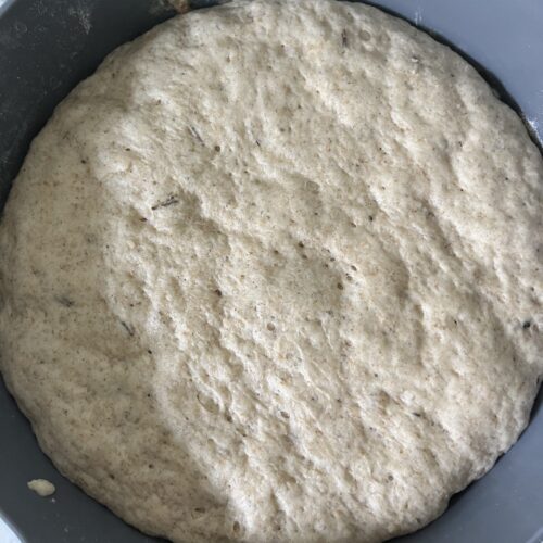 Pizza dough